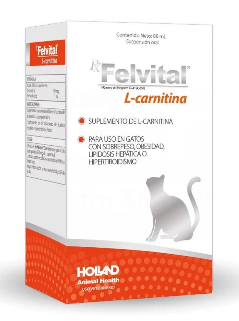 Rx Felvital L-Carnitina 80 mL | Holland