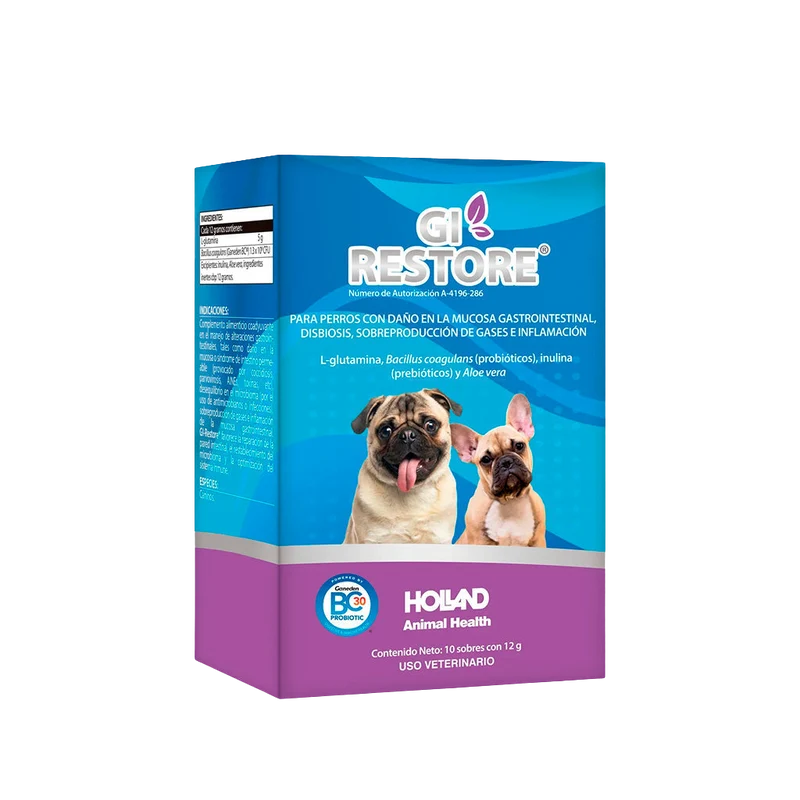 GI-Restore – 10 Sobres de 12 g | Holland