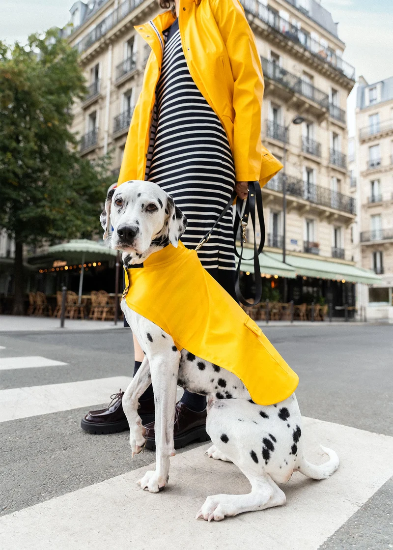 Impermeable para perro Toutouciré (JAUNE)