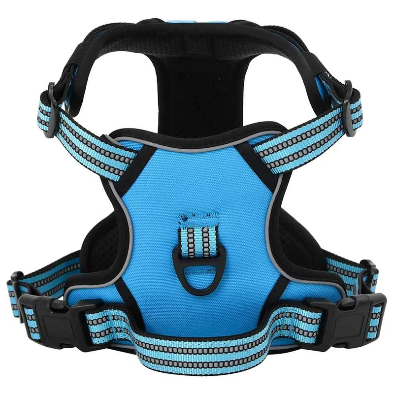 Arnés Para Perros Con Correa Y Collar Ajustable Azul Xl