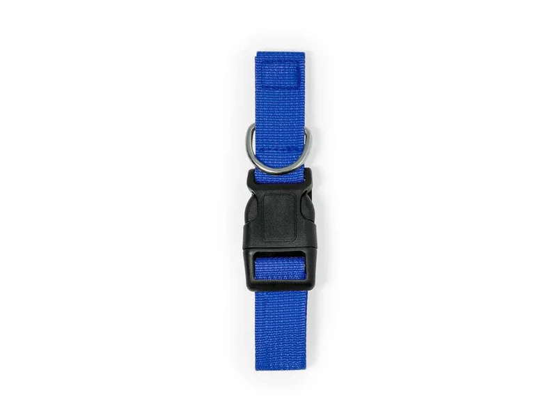 Collar resistente ajustable para mascotas con cierre seguro y accesorio metálico