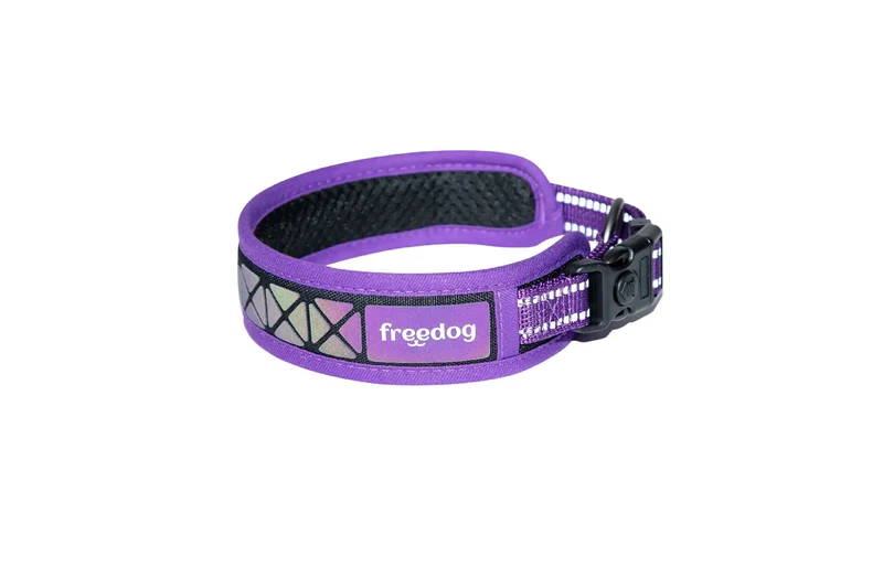 Coleira Freedog Boreal Lilás, 20 mm, 43/52 cm