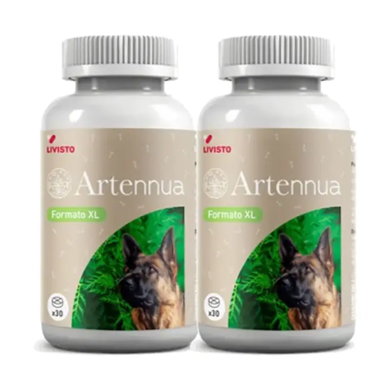 Livisto Artennua XL Pack 2 x 30 Comp