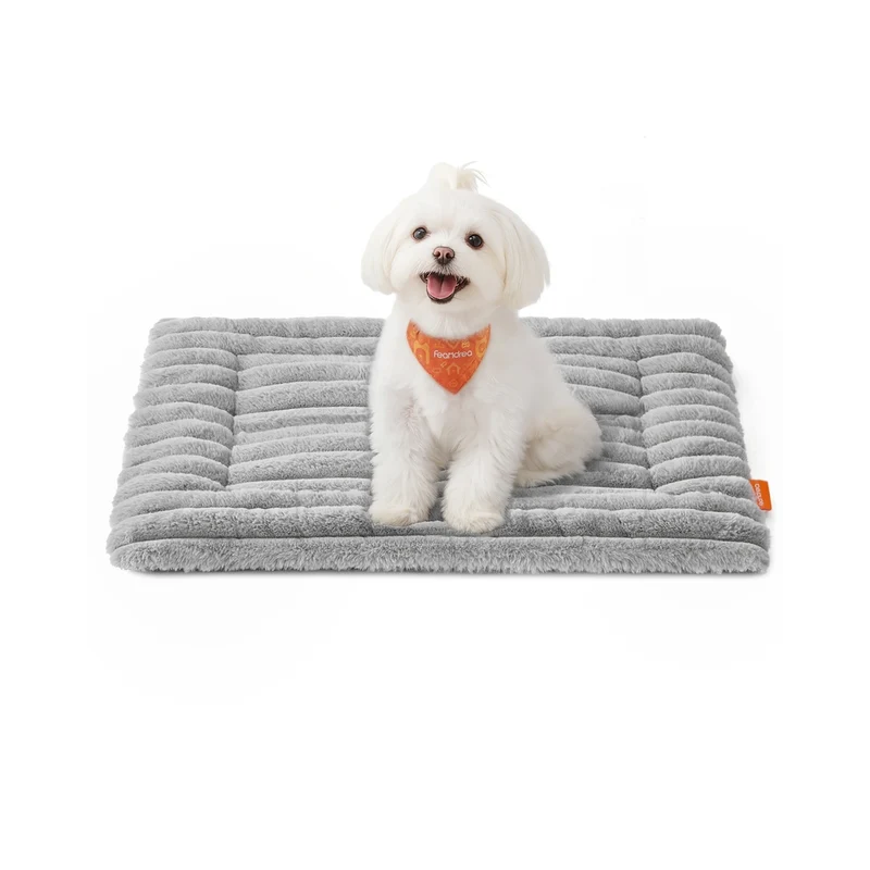 Coperta per cani e gatti lavabile e morbida per ogni stagione