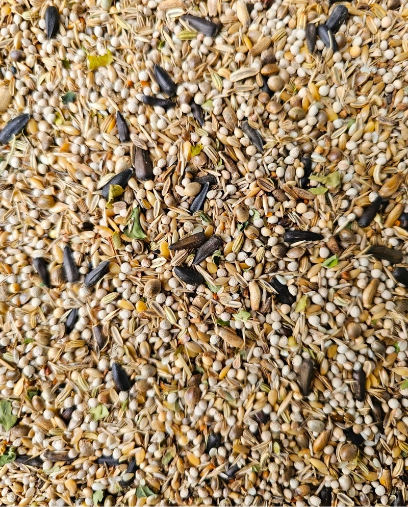 Mezcla de semillas de Carduelis 10 kg (envasada individualmente) - Mezcla de hierbas para pájaros