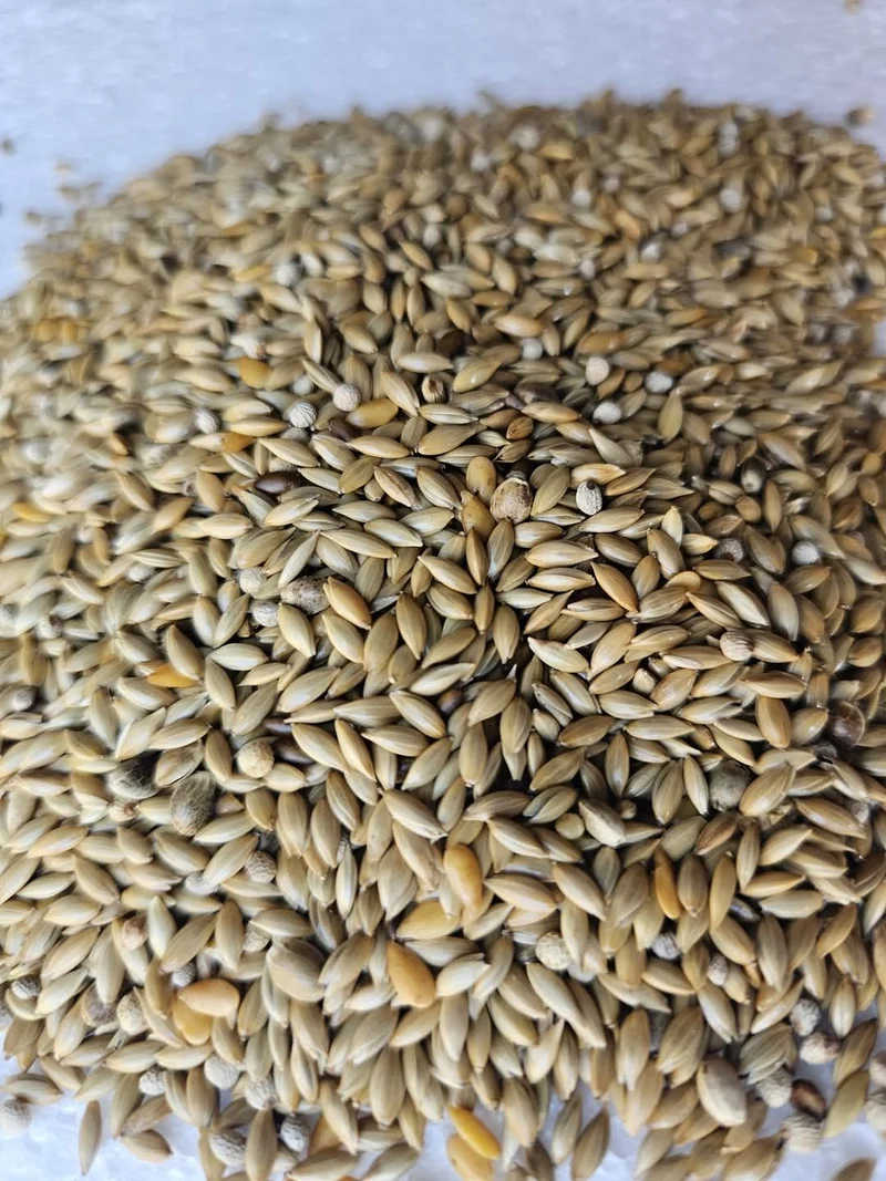 Excelente SUPER AVIARIUM Mix Canari Light Seed 1kg Ornizìn