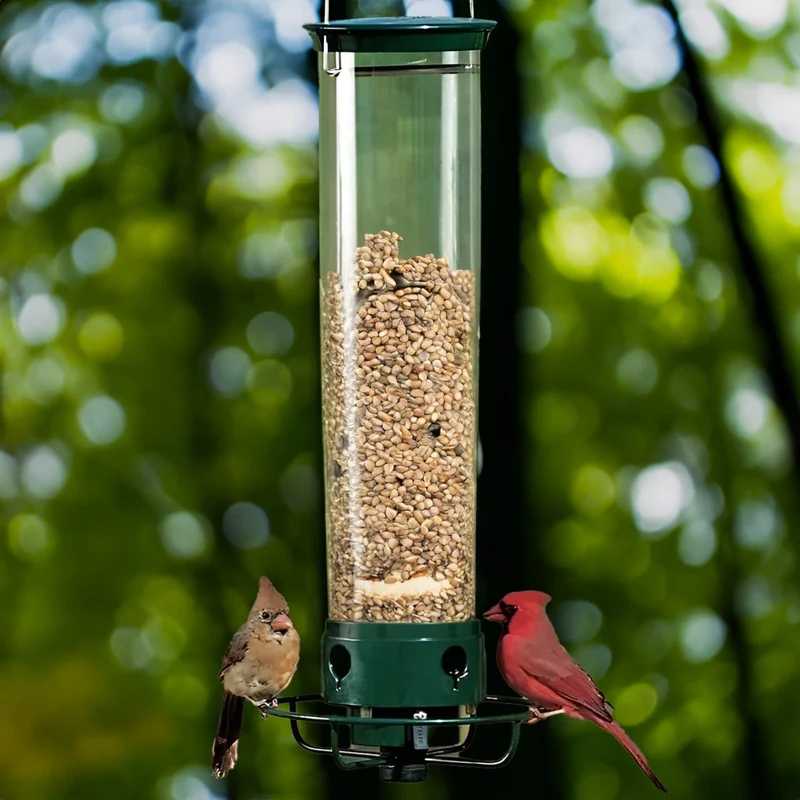 Bird and Tit Feeder with Squirrel Protection Tits