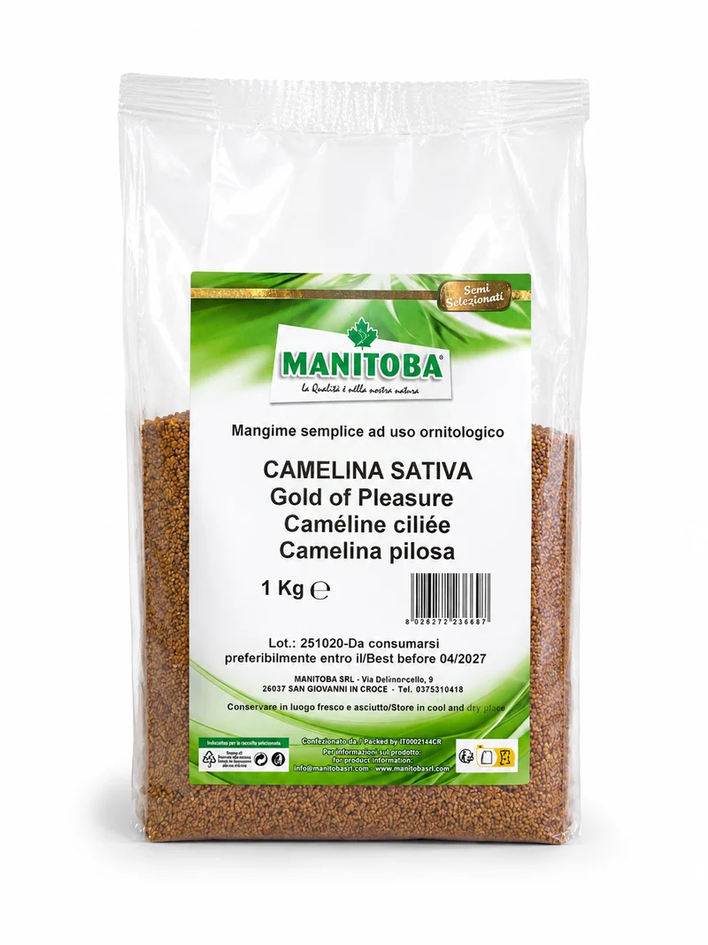 Oro del placer (tiene las propiedades de la semilla de cáñamo (mostaza pequeña) 1 kg - Manitoba