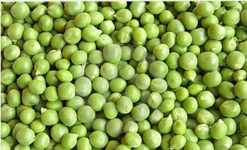 Guisantes verdes 5 kg - Versele Laga