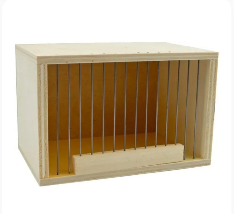 Caja de transporte Extra Pequeña 15x10x8 cm