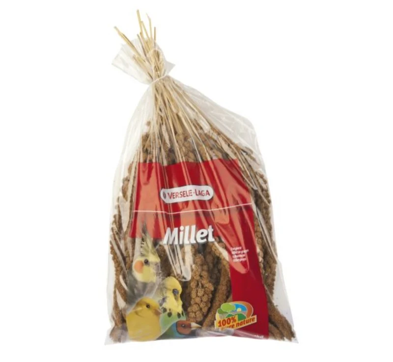 Mijo Amarillo Prestige 1 kg - Semillas de Mijo Amarillo de Calidad