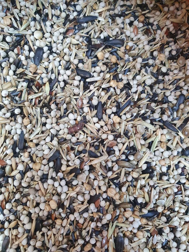 Jilgueros europeos y americanos de 5 kg - Hobbyfarm Hoebregts 219