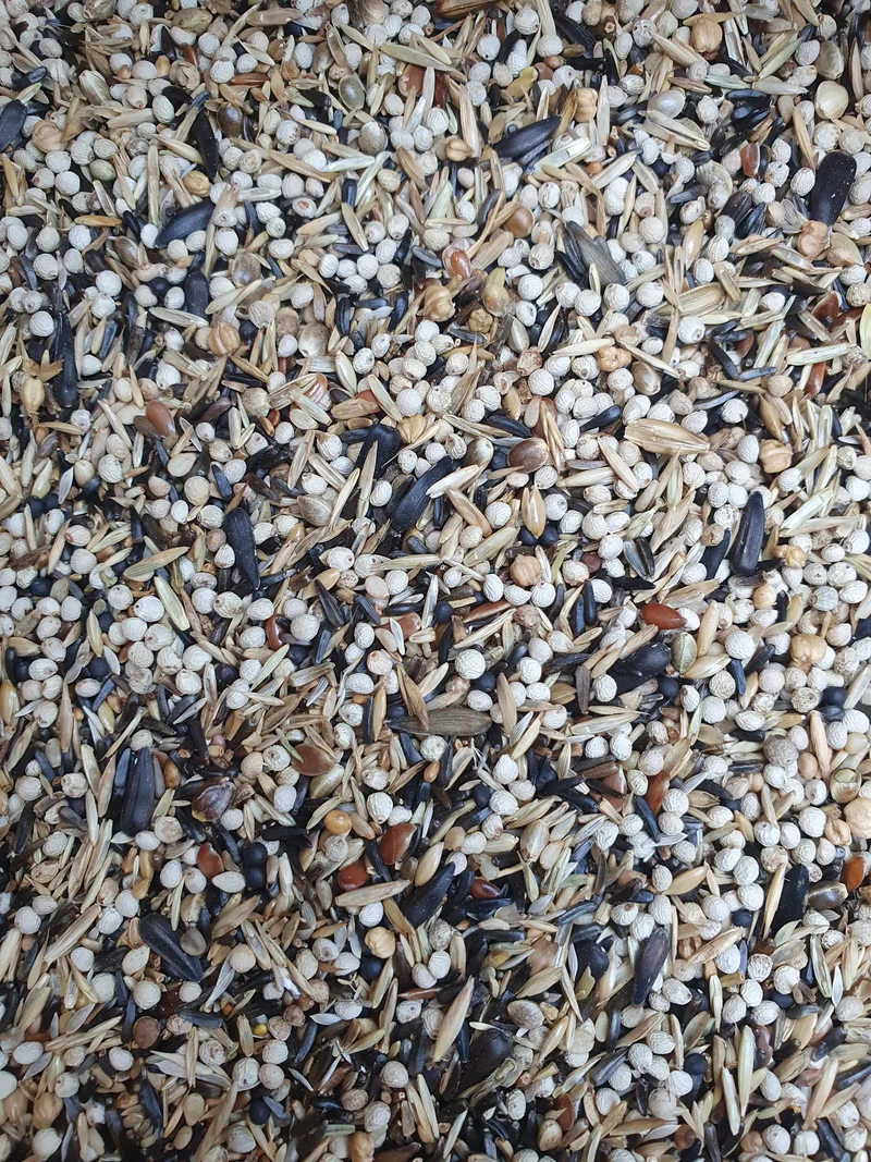 Jilgueros europeos y americanos de 1 kg - Hobbyfarm Hoebregts 219