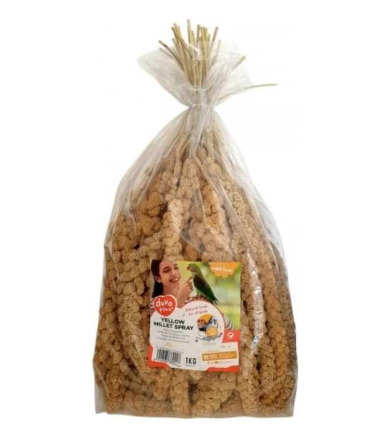PROMO Mijo amarillo 1kg