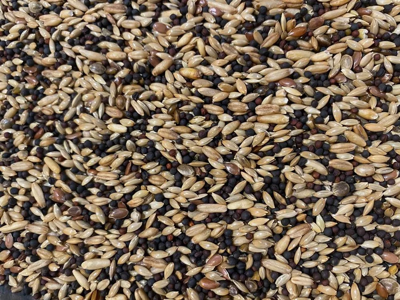 Canary Mixture Bird-X 1kg - Comedero para pájaros - Mezcla completa