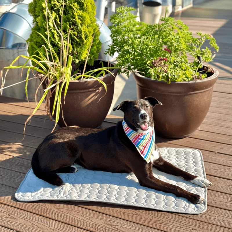 Cooling Rest Mat for Pets