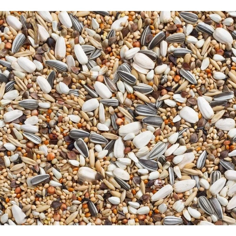 Mixtura para periquitos grandes 5 kg - Sin marca