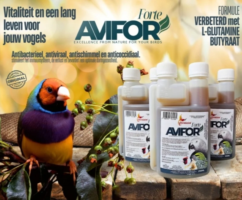Avifor Forte 250ml (Exóticos - Pinzón de Gould) Ornizìn