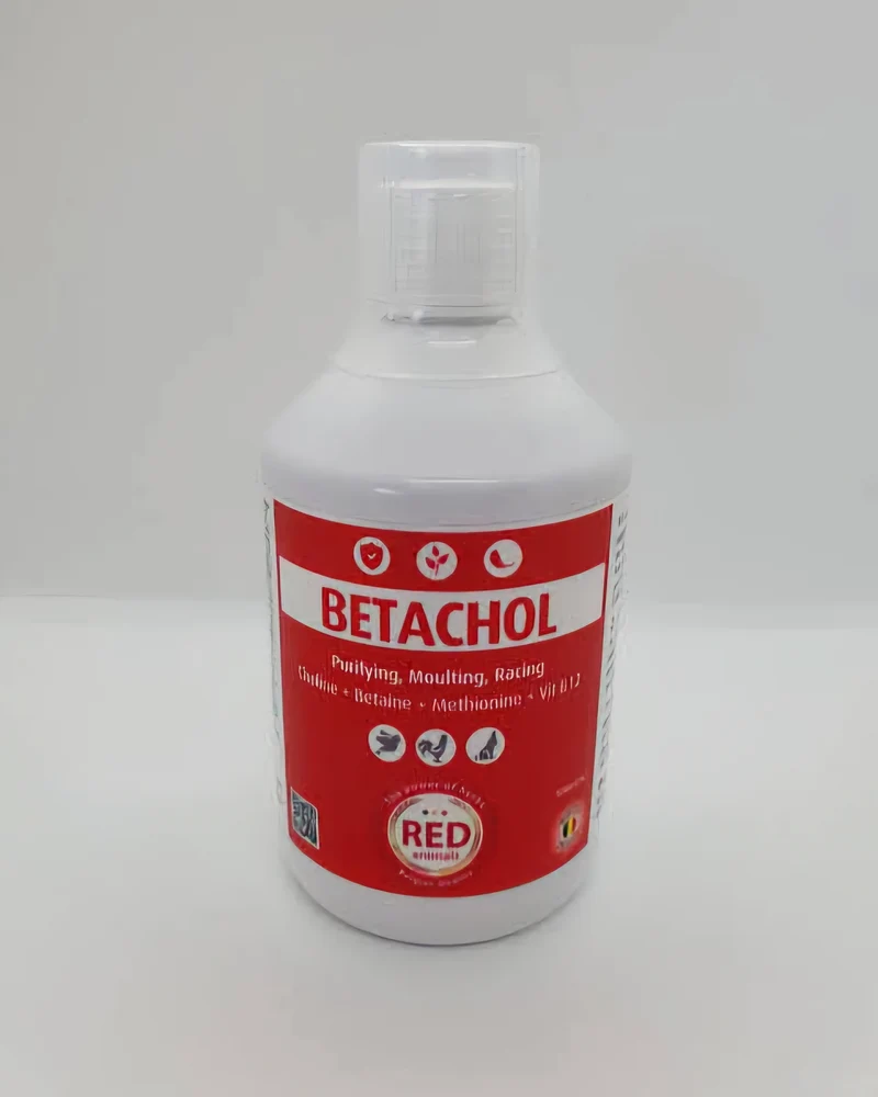 Betacol (color rojo con vitamina B, hígado, plumaje) 500ml - Red Animals
