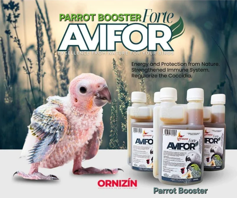 Refuerzo para loros 250 ml - Avifor Forte - Ornizin
