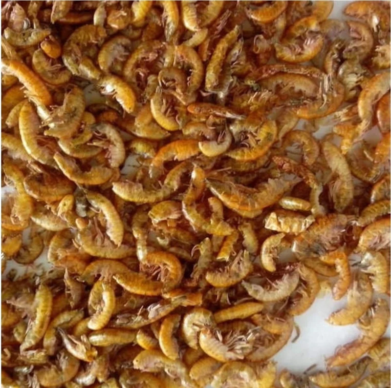 Gammarus Bulk bag 10kg (camarones secos de agua dulce)