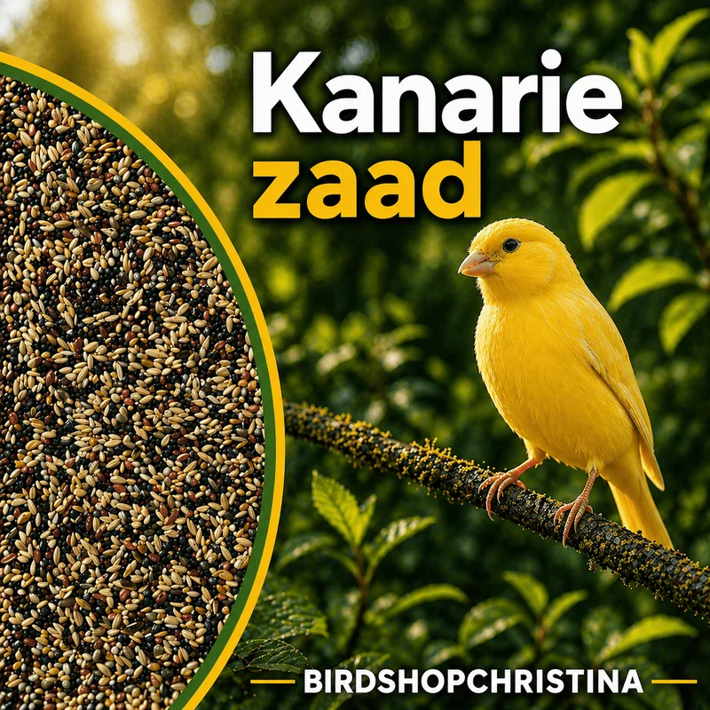 Alimento para pájaros Canary Standard - 1 kg sin moler