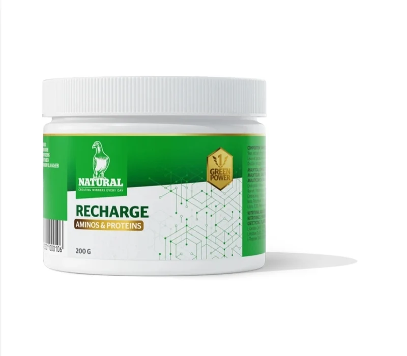 Green Power, Recharge "Aminos y Proteínas" 200 Gramos, Natural