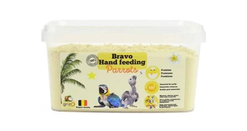 Loro Bravo de 800 gramos para cría manual