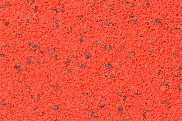 Alimento semihúmedo Bravo Red Egg 1 kg - Bird-X