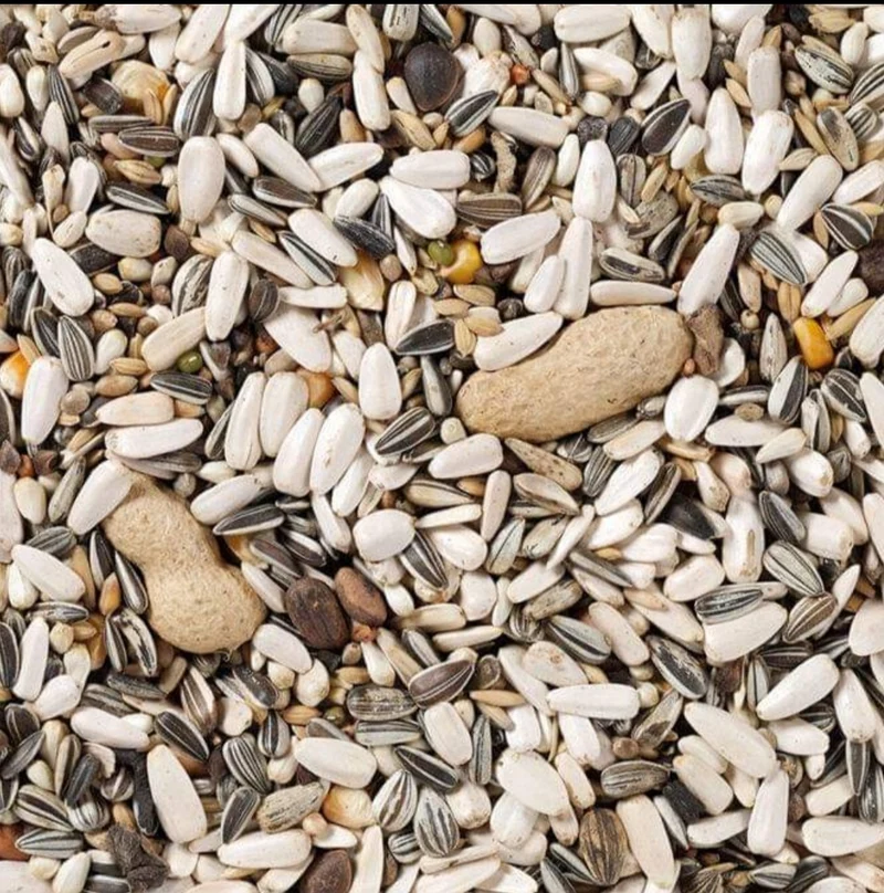 Deli Nature 60 Loro Basic 1kg