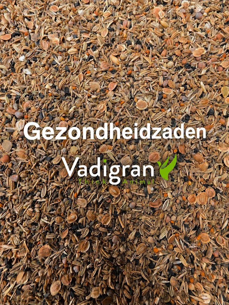 Semillas saludables Vadigran 1kg (autoenvasado)