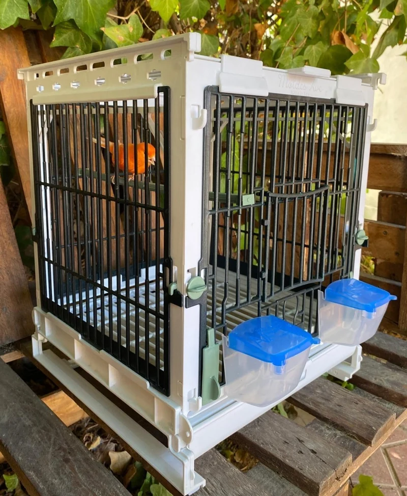 Jaula de cría de plástico verde - MA Cage - Moldes Ave