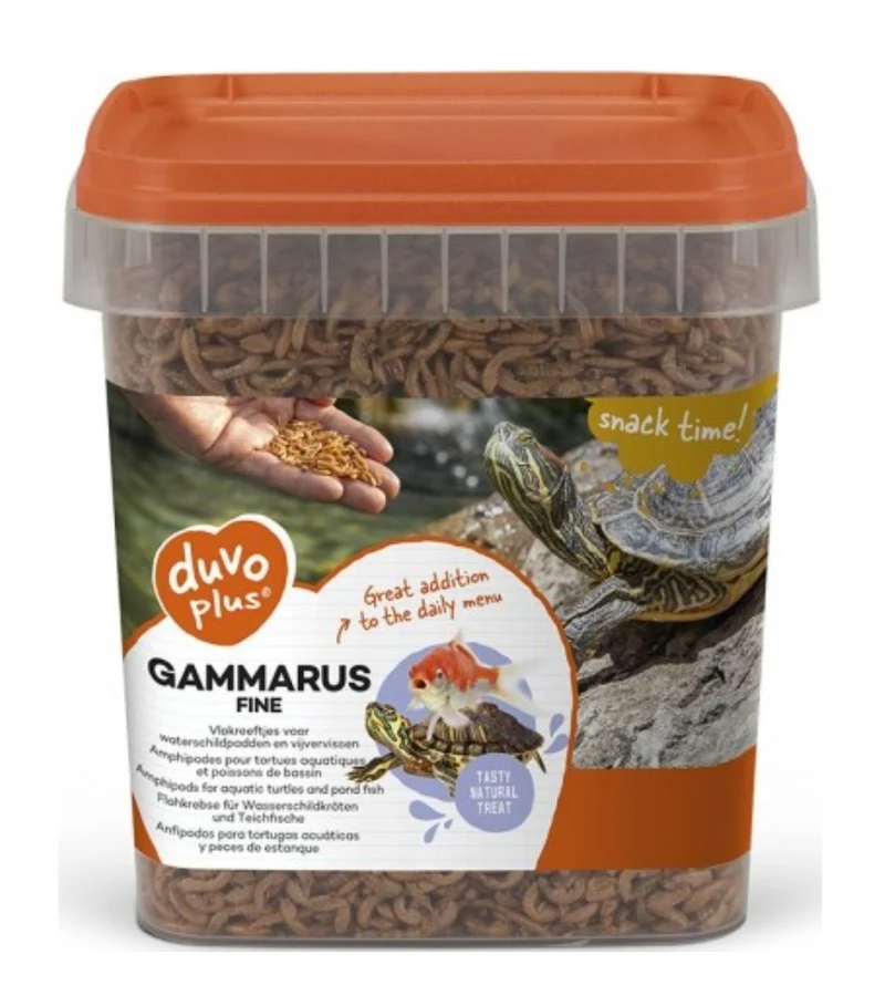 Gammarus fino 2,5 L | Duvo+