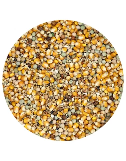 Classic Cría y Muda - Alimento para palomas - 5 kg - Versele-Laga