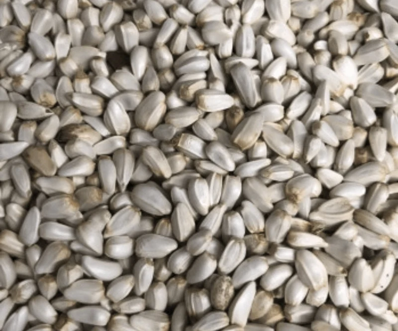 Cardi 15kg (Semillas de cártamo)