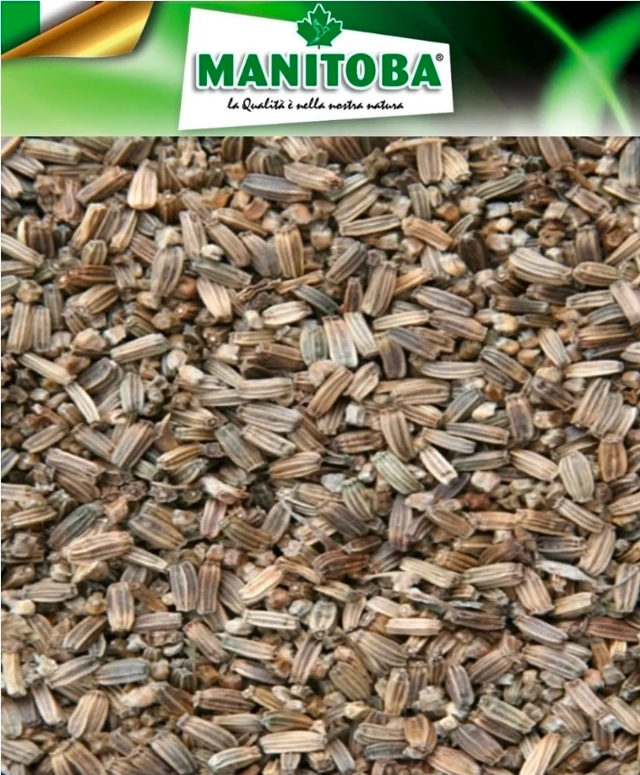 Semilla de cardo cardencha 500 gramos Manitoba
