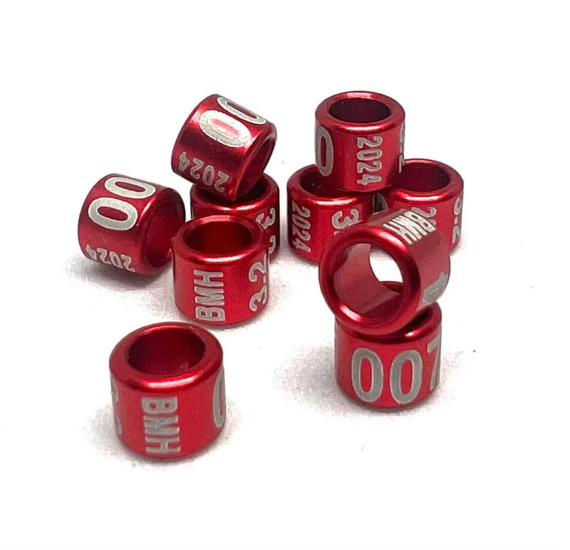 Anillos anuales cerrados 2024 - 4.2 mm