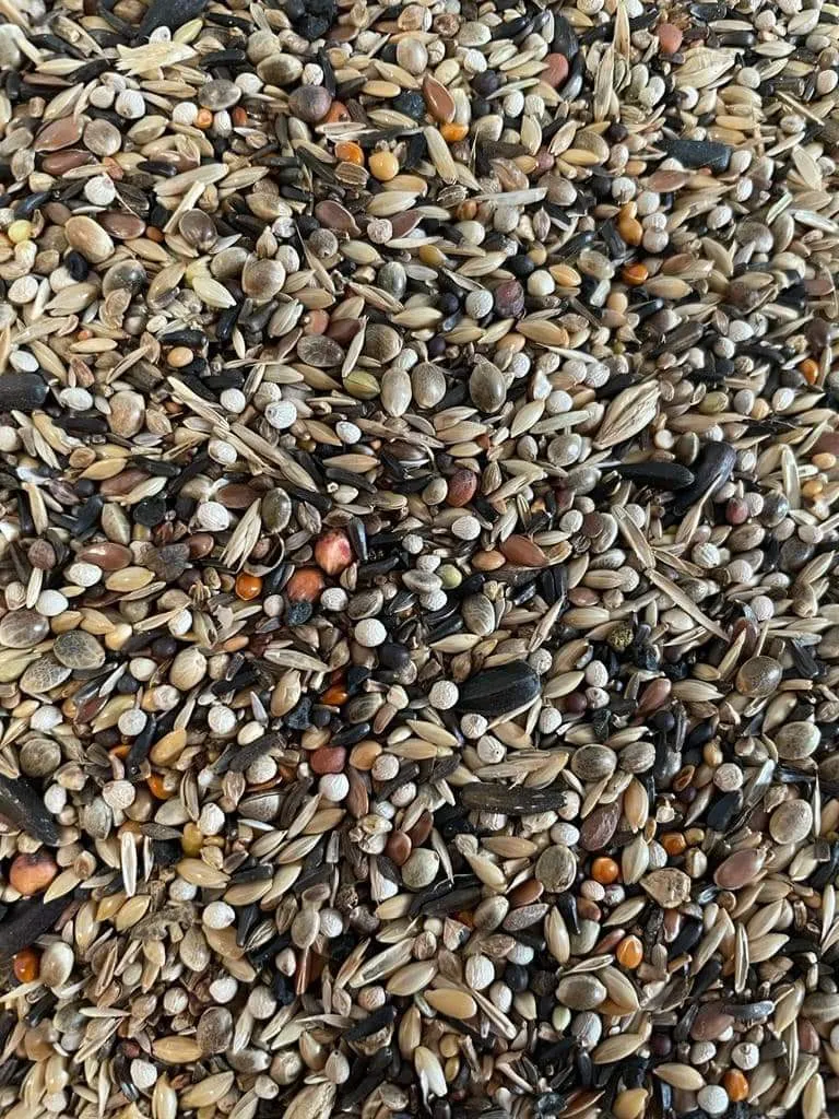 Deli Nature 97 Jilgueros 5kg
