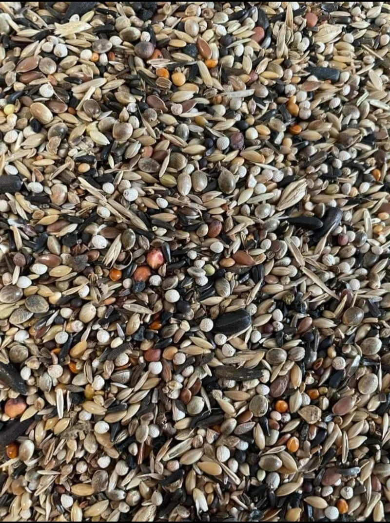 Deli Nature 97 - Jilgueros 1kg