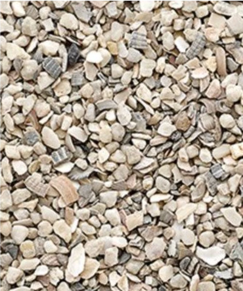 Versele Laga - Conchas de ostra n° 3 Grueso 25kg