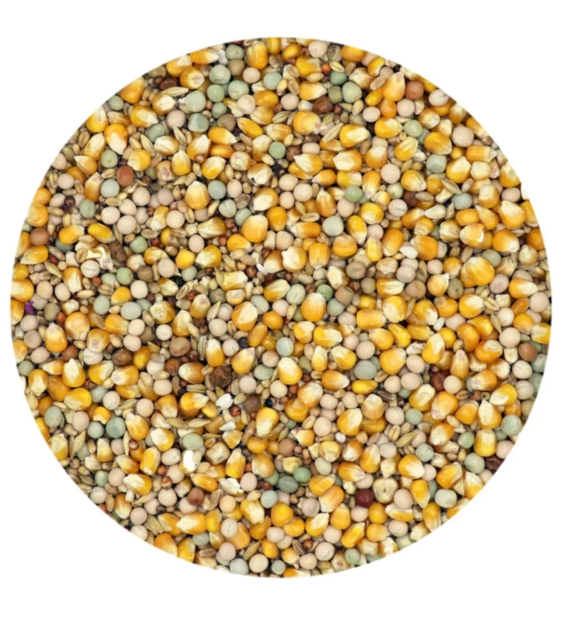 Classic 4 Seasons - Comida para palomas - 5 kg - Versele-Laga