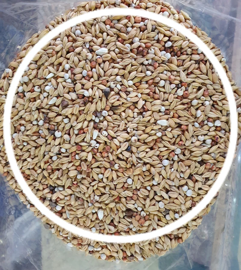 Purificación Estándar 5 Kg Mariman - Versele Laga