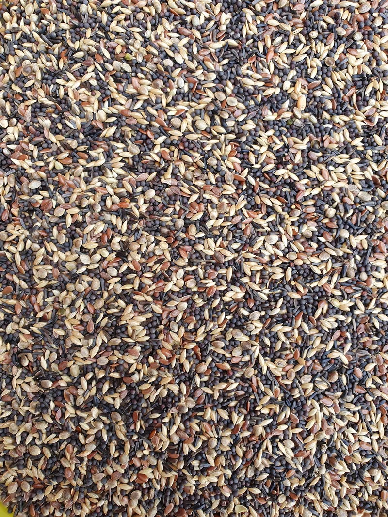 Deli Nature 48 Jilgueros y Jilgueros 1kg