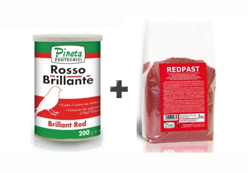 Paquete Combo - Rosso Brillante + Redpast
