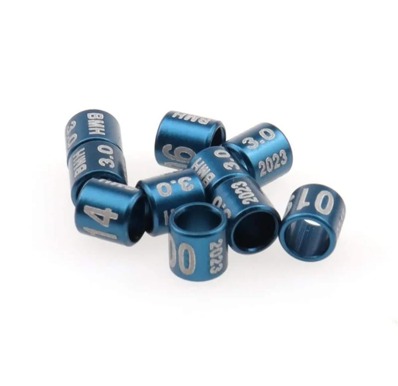 Anillos anuales cerrados 2023 - 11 mm