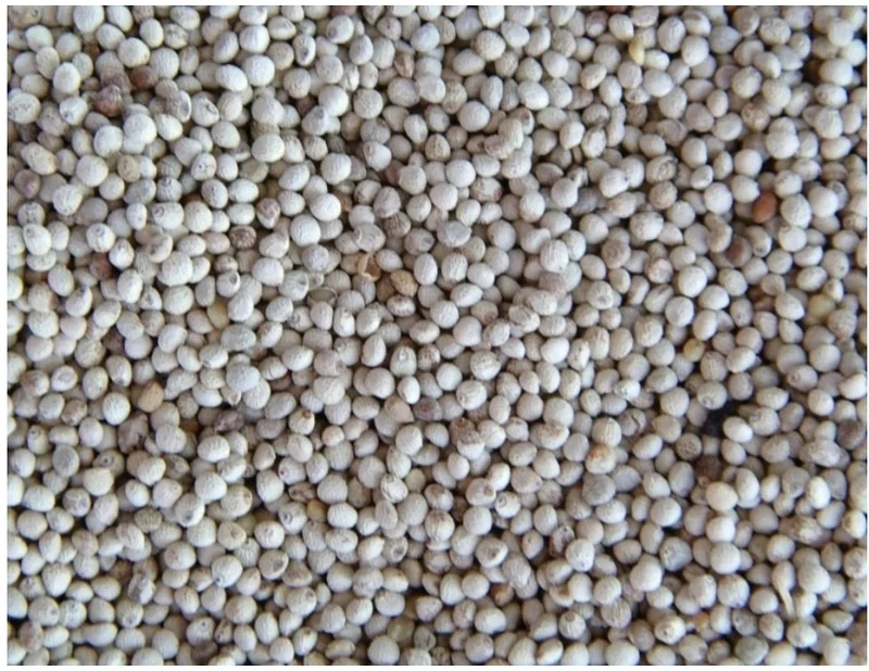 Perilla Blanca 250 gramos
