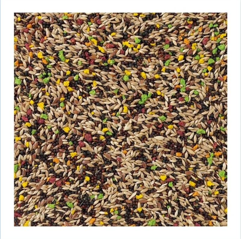 Canario Con Fruta 5kg Bird-X