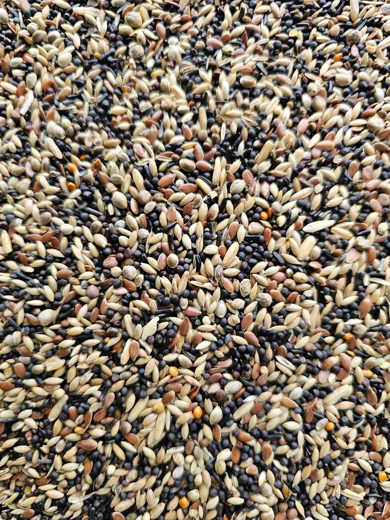 Jilguero y Jilguero 5kg - Hobbyfarm Hoebregts