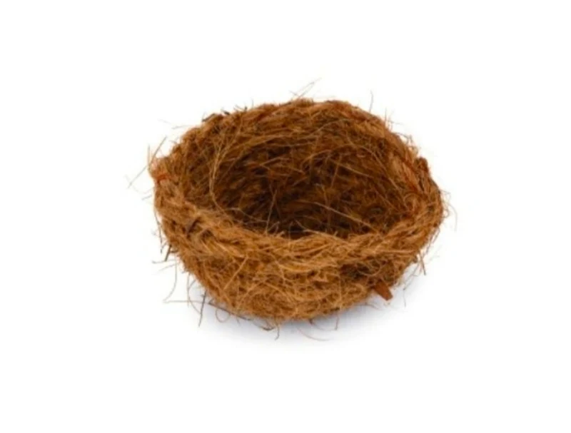Nido de coco de 7 a 9 cm