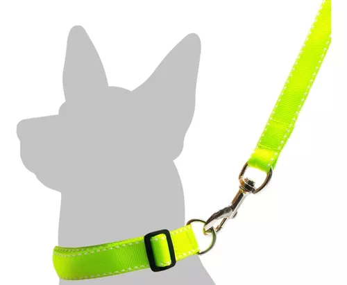 Juego Collar - Trailla Med Ref 07367